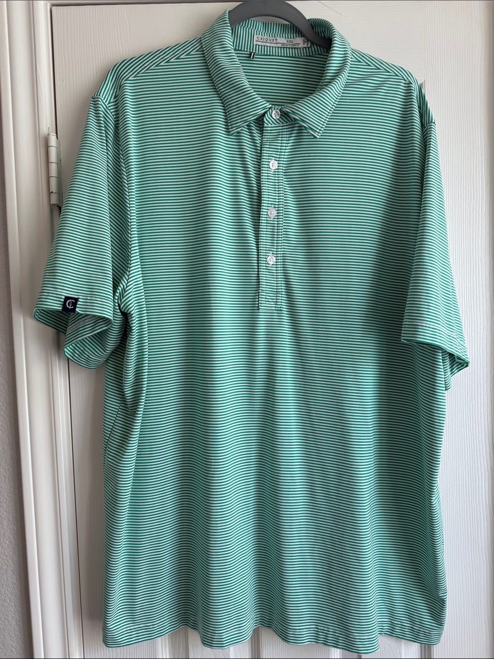 Criquet Men's Mint Green Striped Polo